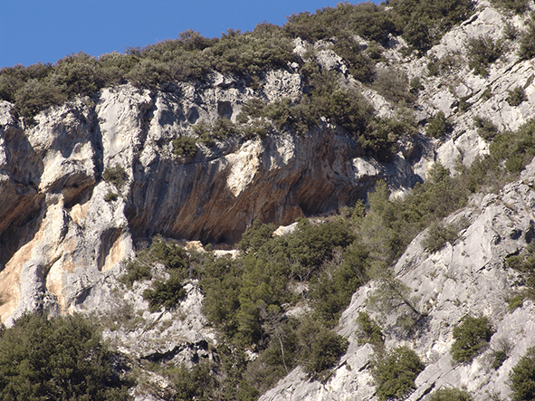 Riparo di Pale rock art site